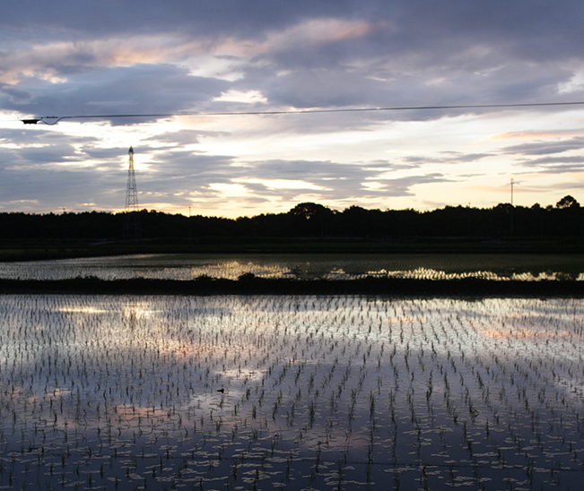 風景03